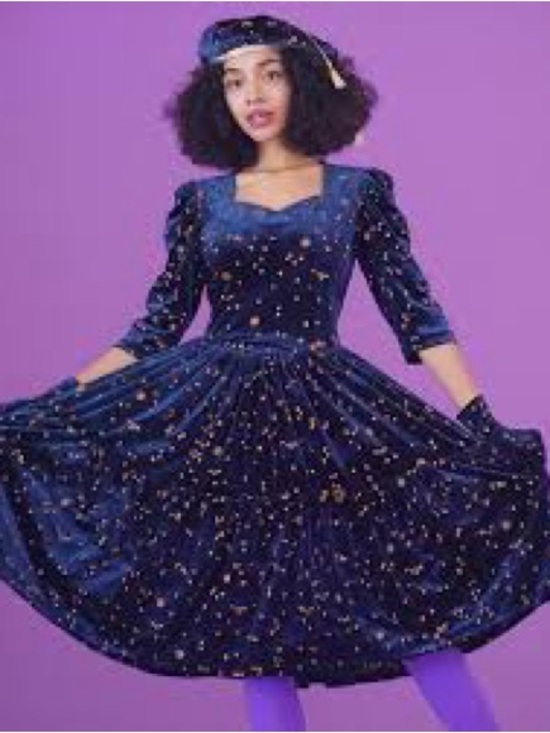 Samantha Pleet Dresses & Skirts - Samantha Pleet Midnight Velvet celestial embroidered Midi Dress